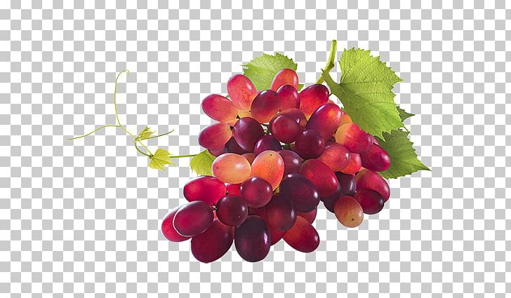 Sultana Zante Currant Grape Chardonnay Pinot Noir PNG, Clipart, Chardonnay, Cranberry, Currant, Food, Fruit Free PNG Download