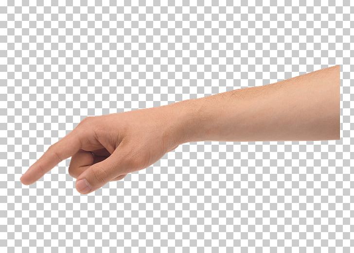Thumb Upper Limb Hand PhotoScape PNG, Clipart, Anatomy, Arm, Digit, Finger, Gimp Free PNG Download