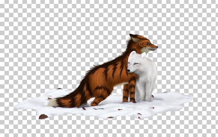 Cat Red Fox Tail Wildlife Fox News PNG, Clipart, Animals, Carnivoran, Cat, Cat Like Mammal, Dog Like Mammal Free PNG Download