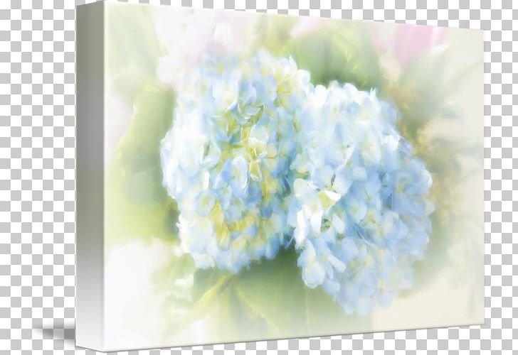 Hydrangea Floral Design Cut Flowers Flower Bouquet PNG, Clipart, Blue, Cornales, Cut Flowers, Floral Design, Floristry Free PNG Download