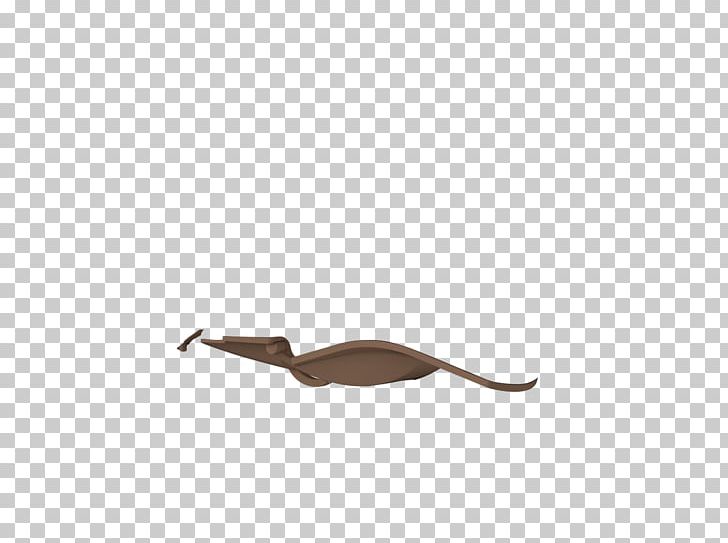 Tail PNG, Clipart, Fauna, Others, Tail Free PNG Download