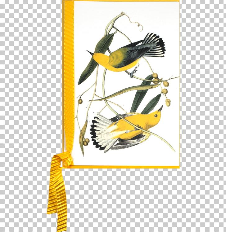 The Birds Of America New World Warbler National Audubon Society Audubon Bird Prints: A Portfolio Of 6 Self-Matted Full Color Prints PNG, Clipart, Animals, Antique, Art, Bird, Lithography Free PNG Download
