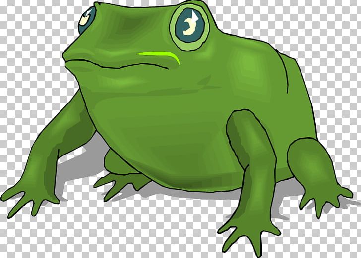 True Frog Amphibian Toad PNG, Clipart, Amphibian, Animal, Australian Green Tree Frog, Big Frogs Cliparts, Blue Poison Dart Frog Free PNG Download
