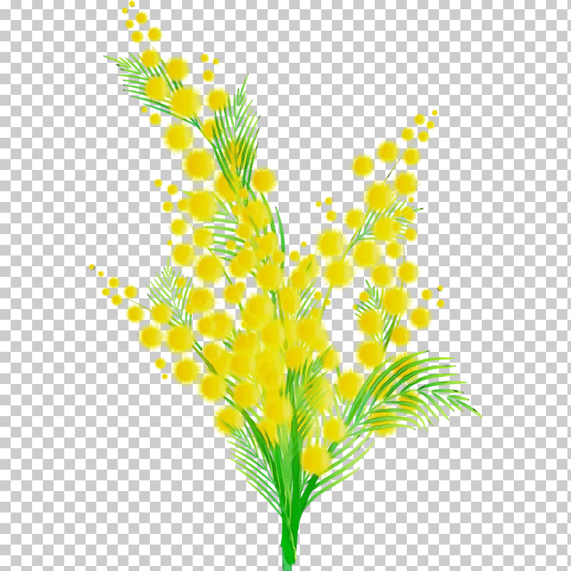 Yellow Plant Leaf Flower Grass PNG
