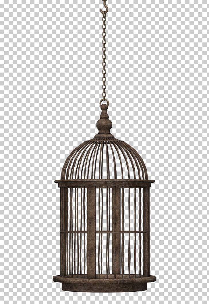 Birdcage Domestic Canary PNG, Clipart, Bird, Birdcage, Bird Cage, Birds, Cage Free PNG Download