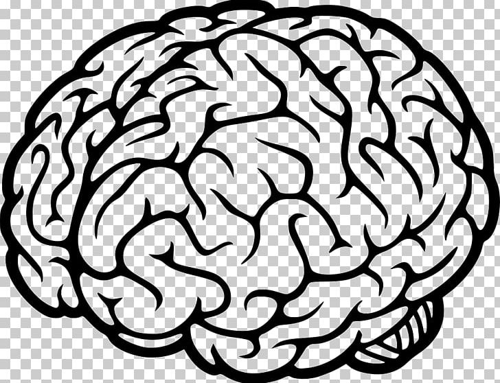 Human Brain Neural Oscillation Mind Neuroscience PNG, Clipart, Area, Black And White, Brain, Brainwave Entrainment, Circle Free PNG Download