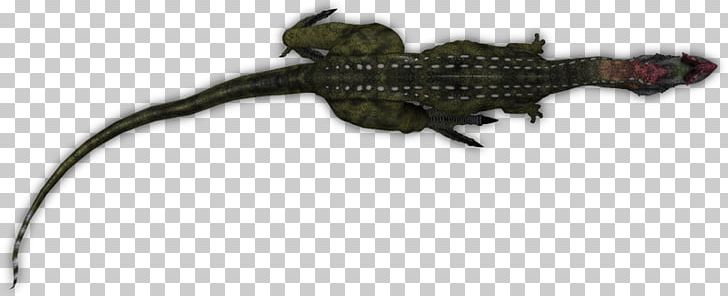Lizard Amphibian Crocodiles Tail Animal PNG, Clipart, Amphibian, Animal, Animal Figure, Animals, Crocodiles Free PNG Download