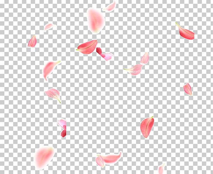 Petal Pink Flower PNG, Clipart, Beauty, Blossom, Closeup, Desktop Wallpaper, Deviantart Free PNG Download