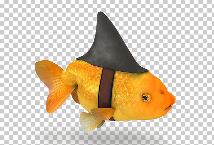 Stock Photography Fortnite Battle Royale Shark Fin Soup PNG, Clipart, Battle Royale Game, Bony Fish, Business, Creative Vision, Fin Free PNG Download