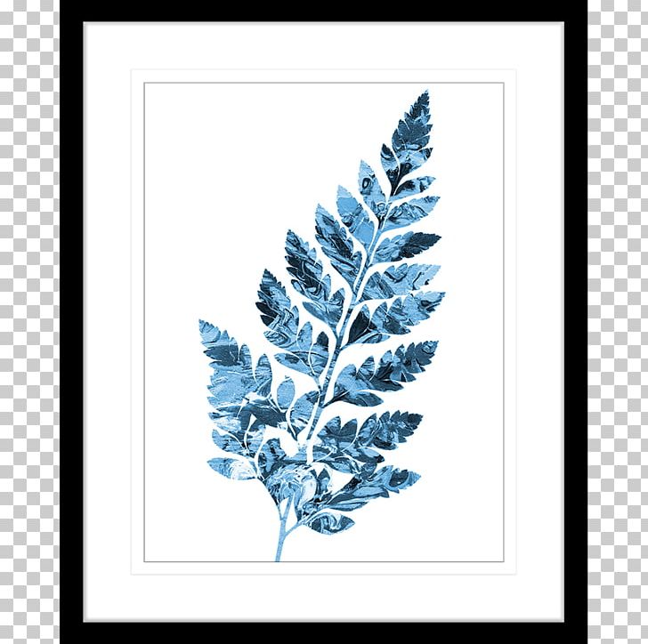 Cobalt Blue Twig Pine Leaf PNG, Clipart, Blue, Branch, Cobalt, Cobalt Blue, Conifer Free PNG Download