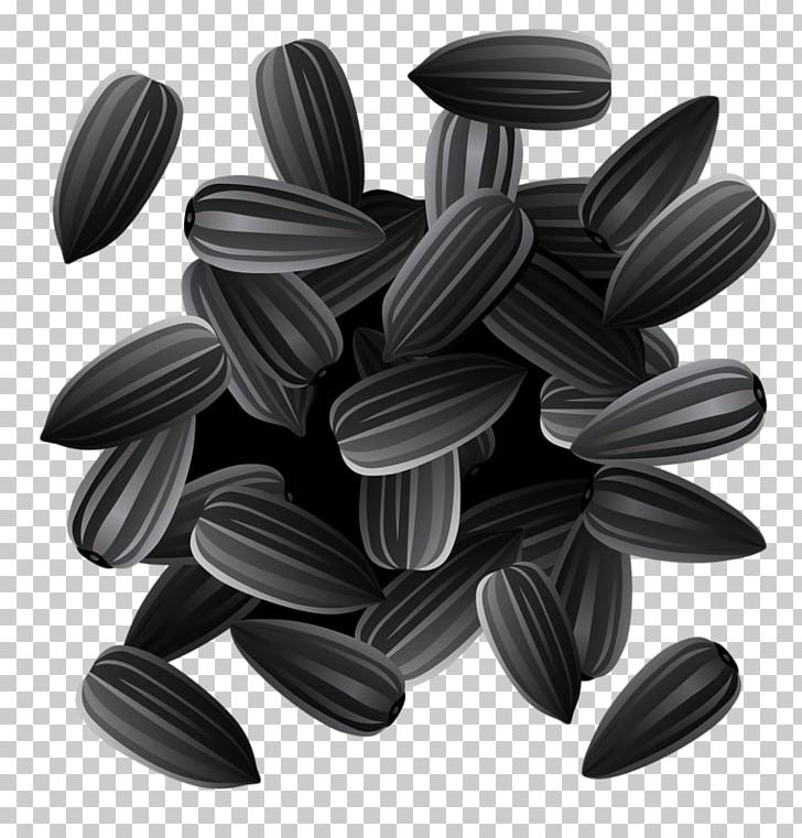 Common Sunflower Sunflower Seed Sowing PNG, Clipart, Afternoon, Afternoon Tea, Black And White, Drawing, Fruit Nut Free PNG Download