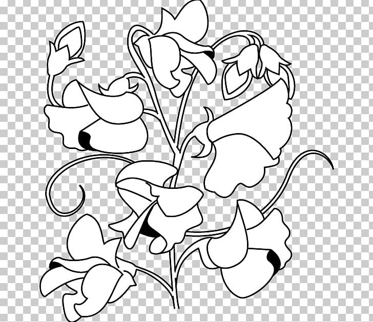 Floral Design Sweet Pea Flower PNG, Clipart, Artwork, Black, Black And White, Book Illustration, Cartoon Free PNG Download