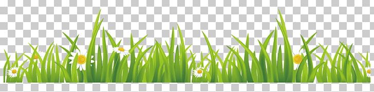 Green GRASS GIS Euclidean PNG, Clipart, Background Green, Commodity, Computer Wallpaper, Elements, Free Software Free PNG Download