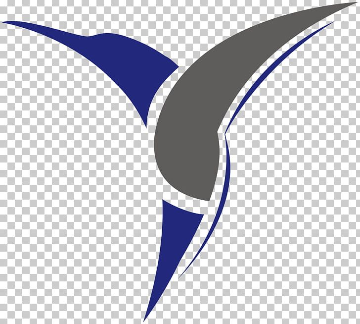 Hummingbird S U A Ltd Unmanned Aerial Vehicle Logo Flight PNG, Clipart, Aerial, Altitude, Beak, Blue, Caa Free PNG Download