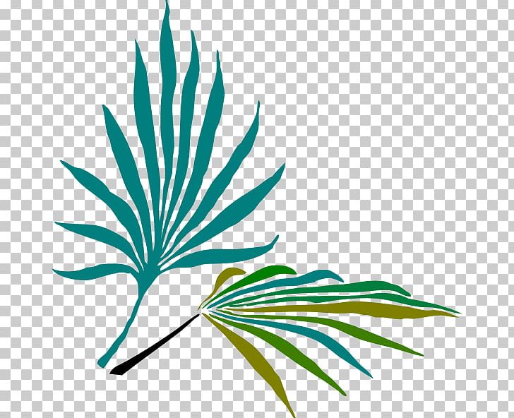 Frond Arecaceae Palm-leaf Manuscript PNG, Clipart, Arecaceae, Arecales, Artwork, Branch, Computer Icons Free PNG Download