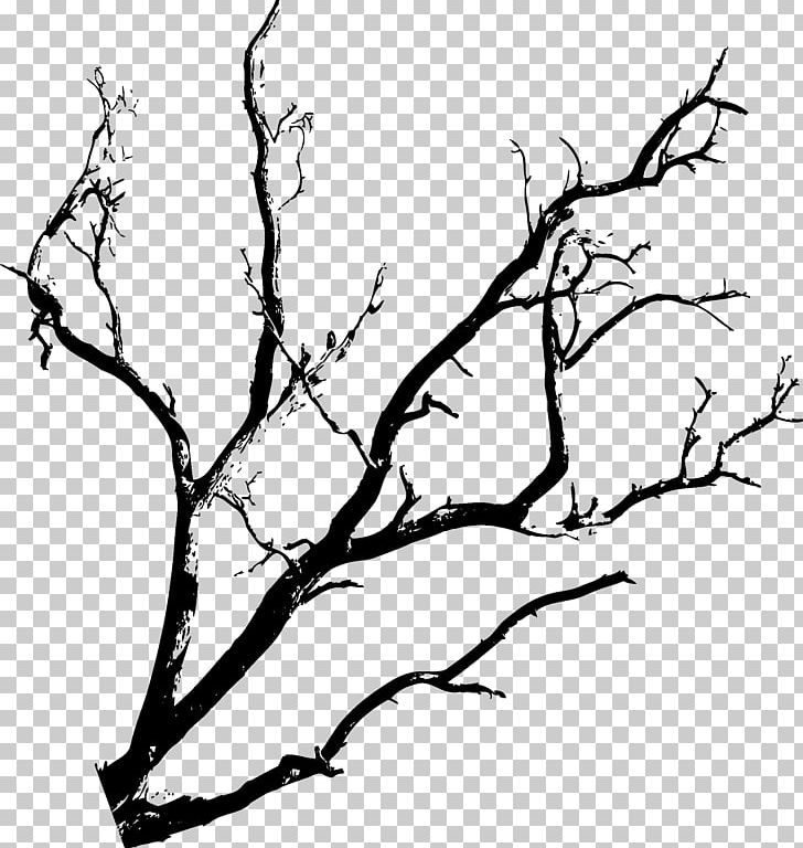 Red–black Tree Halloween PNG, Clipart, 2 3 4 Tree, Autumn Tree, Background Black, Black, Black And White Free PNG Download