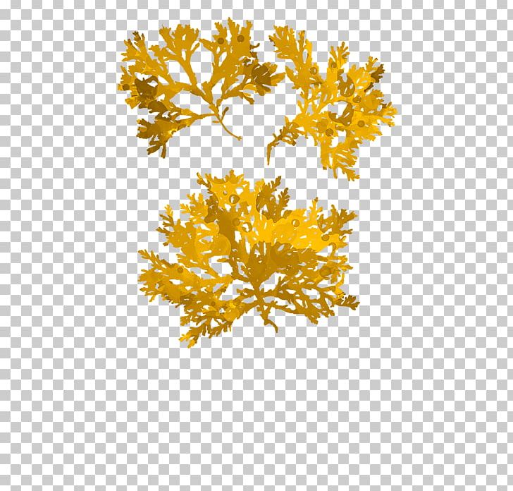 Yellow Seaweed Canvas Print Gold Art PNG, Clipart, Acrylic Paint, Aquarium Decor, Art, Branch, Canvas Free PNG Download
