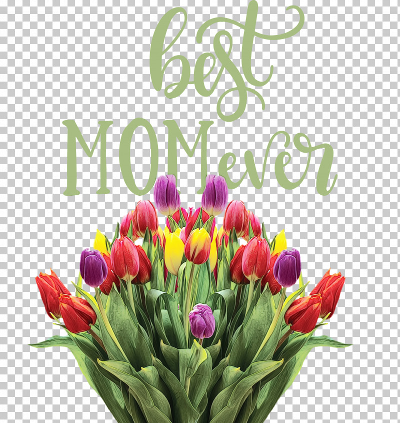 Floral Design PNG, Clipart, Best Mom Ever, Bud, Bulb, Color, Cut Flowers Free PNG Download