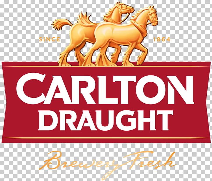 Carlton Draught Carlton & United Breweries Beer Foster's Group Lager PNG, Clipart, Alcoholic Drink, Amp, Area, Back, Beer Free PNG Download