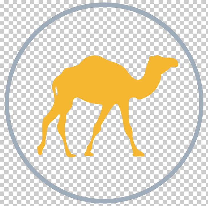 Graphics Dromedary Bactrian Camel Illustration PNG, Clipart, Area, Bactrian Camel, Camel, Camel Like Mammal, Computer Icons Free PNG Download