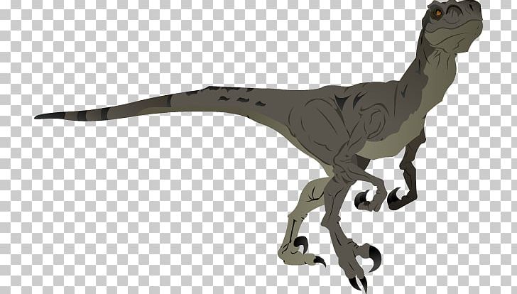 Velociraptor Digital Art Drawing PNG, Clipart, Animal, Animal Figure, Art, Art Museum, Charcoal Free PNG Download