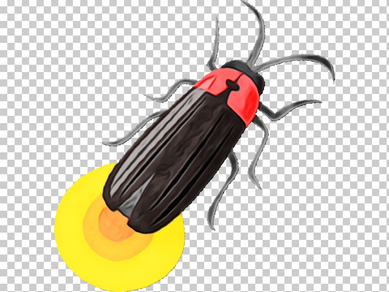 Insect Beetle Pest Blister Beetles Cockroach PNG, Clipart, Beetle, Blister Beetles, Cockroach, Darkling Beetles, Insect Free PNG Download