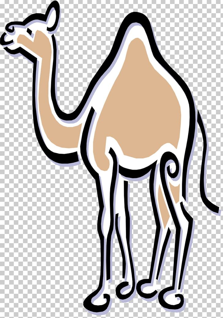 Dromedary Benicia Historical Museum PNG, Clipart, Animal Figure, Arabian Camel, Art, Art Museum, Artwork Free PNG Download