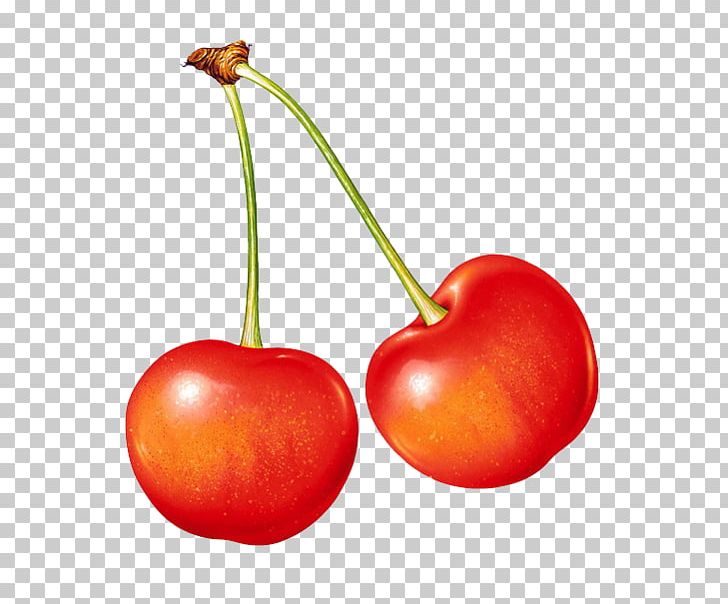Juice Fruit Cherry Vegetable Berry PNG, Clipart, Apple, Cherry Blossom, Cherry Blossoms, Diet Food, Drupe Free PNG Download