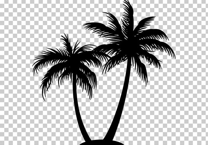 Arecaceae Tree PNG, Clipart,  Free PNG Download