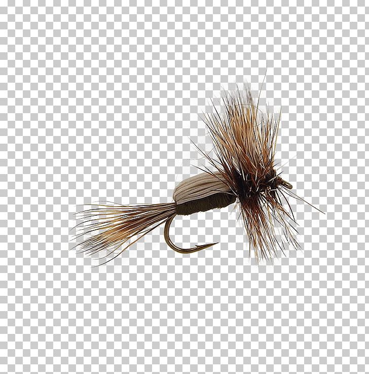 Artificial Fly Insect Nymph Mayfly Fly Fishing PNG, Clipart, Airport, Artificial Fly, Baetis, Fishing Bait, Fly Fishing Free PNG Download