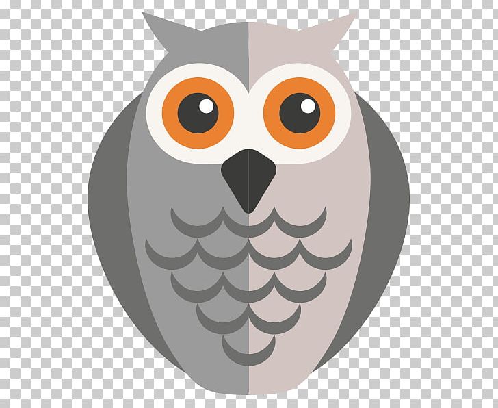 Bird PNG, Clipart, Animal, Beak, Bird, Bird Of Prey, Building Free PNG Download