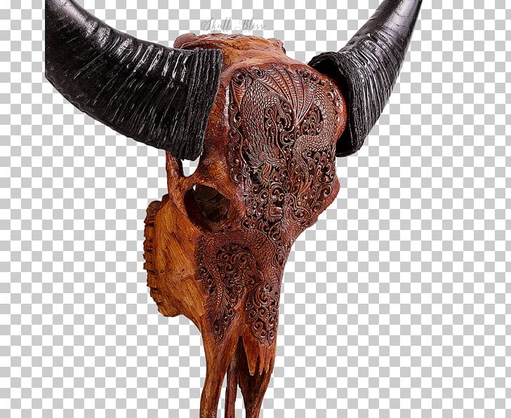 Bison Antiquus Horn Skull Bone Cattle PNG, Clipart, American Bison, Antique, Bison, Bison Antiquus, Bone Free PNG Download
