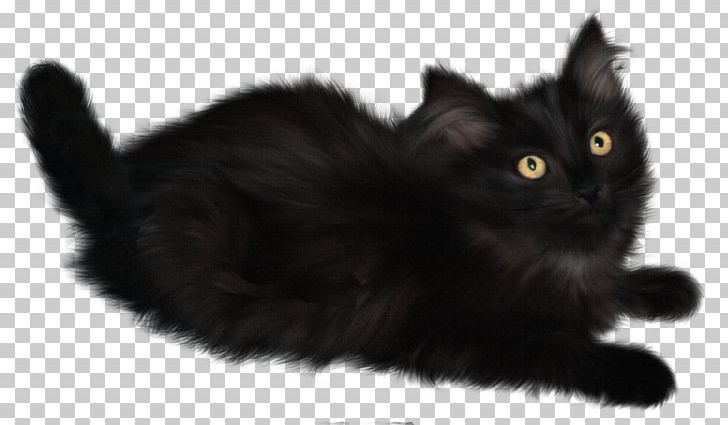 Cat Kitten PNG, Clipart, Bla, Black, Black And White, Carnivoran, Cat Ear Free PNG Download