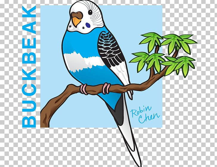 Artist Macaw Feather PNG, Clipart, Art, Artist, Beak, Bird, Buckbeak Free PNG Download