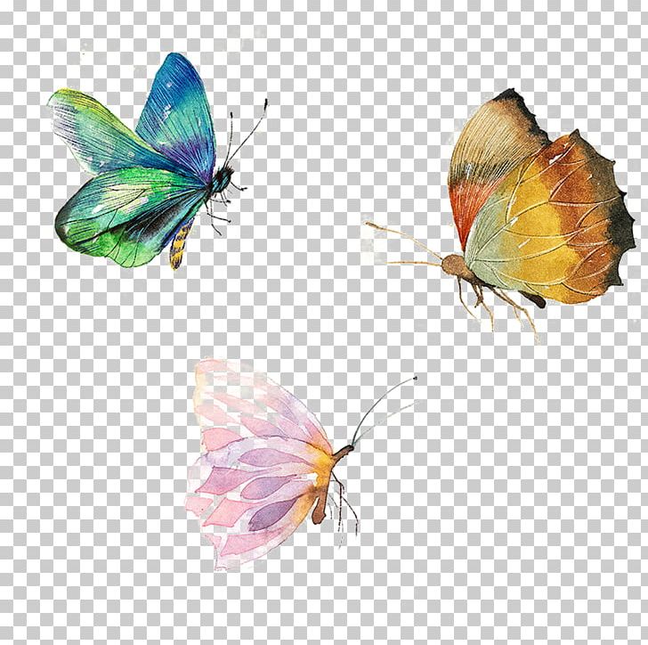 Butterfly PNG, Clipart, Arthropod, Blue Butterfly, Brush Footed Butterfly, Butterflies, Butterfly Group Free PNG Download