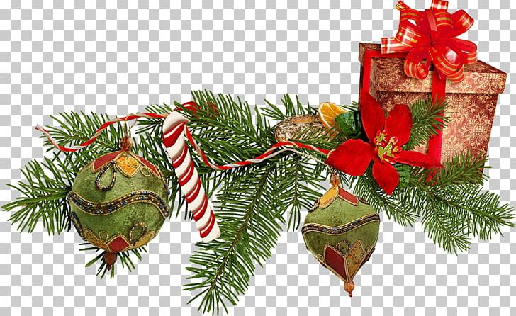 Christmas Ornament New Year Gift PNG, Clipart, Christmas, Christmas Decoration, Christmas Decorations, Christmas Ornament, Conifer Free PNG Download