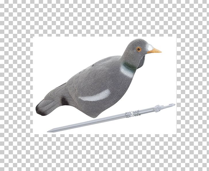 Duck Decoy Flocking Hunting Columbidae PNG, Clipart, Animals, Beak, Bird, Charadriiformes, Columbidae Free PNG Download