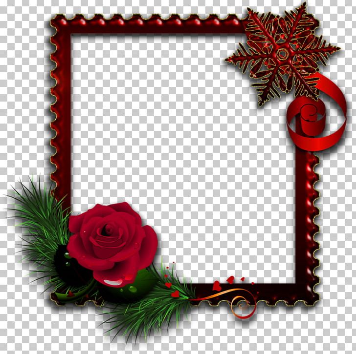 Frames Light Rose PNG, Clipart, Blue, Christmas, Christmas Decoration, Christmas Ornament, Decor Free PNG Download