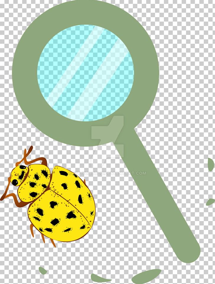 Insect Leaf PNG, Clipart, Animals, Aphid, Food, Grass, Green Free PNG Download