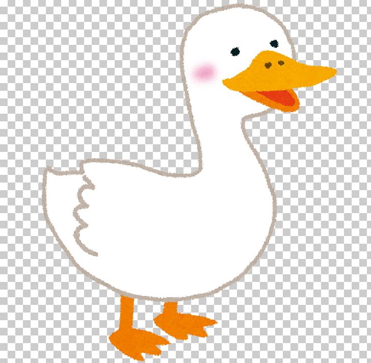 Domestic Duck Subaru BRZ Foie Gras Domestic Goose PNG, Clipart, Animal Figure, Beak, Bird, Cars, Chicken Free PNG Download