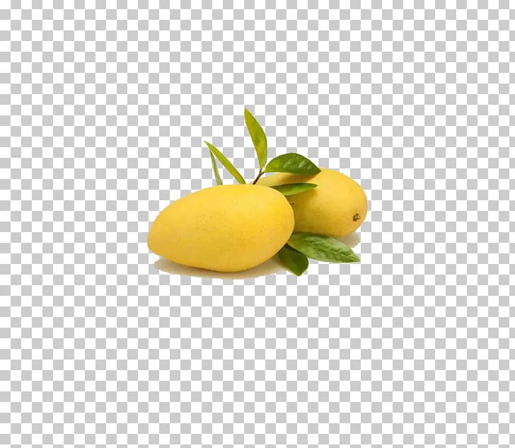 Juice Mango Snow Skin Mooncake PNG, Clipart, Citric Acid, Citron, Citrus, Coconut, Cut Mango Free PNG Download