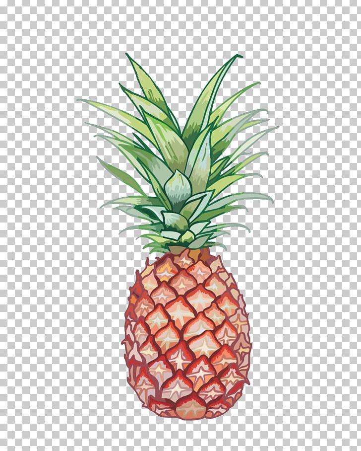 Ice Cream Pineapple Quenelle Food Illustration PNG, Clipart, Amorodo, Ananas, Boluo Fan, Bromeliaceae, Cartoon Pineapple Free PNG Download