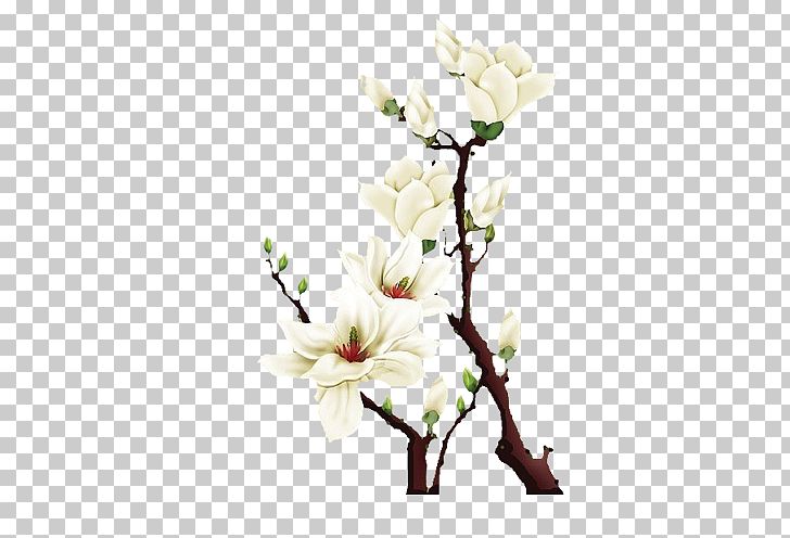 Floral Design Petal Flower White PNG, Clipart, Artificial Flower, Branch, Bud, Color, Cut Flowers Free PNG Download