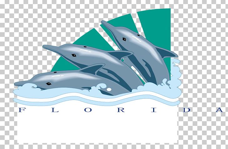 Common Bottlenose Dolphin PNG, Clipart, Animals, Computer Wallpaper, Dolphins, Encapsulated Postscript, Free Logo Design Template Free PNG Download