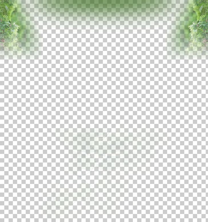 East Asian Cherry Nursery Садница Shrub Conifers PNG, Clipart, Arborvitae, Atmosphere, Box, Buxus Sempervirens, Computer Wallpaper Free PNG Download