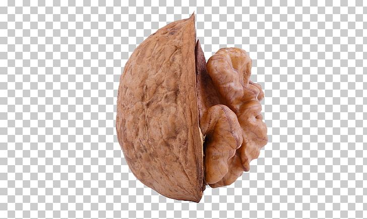 English Walnut Drupe Wisgoon PNG, Clipart, Auglis, Depositphotos, Drupe, Food, Fruit Nut Free PNG Download