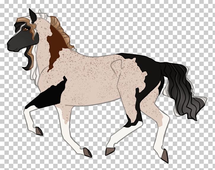 Mustang Foal Stallion Colt Mare PNG, Clipart,  Free PNG Download