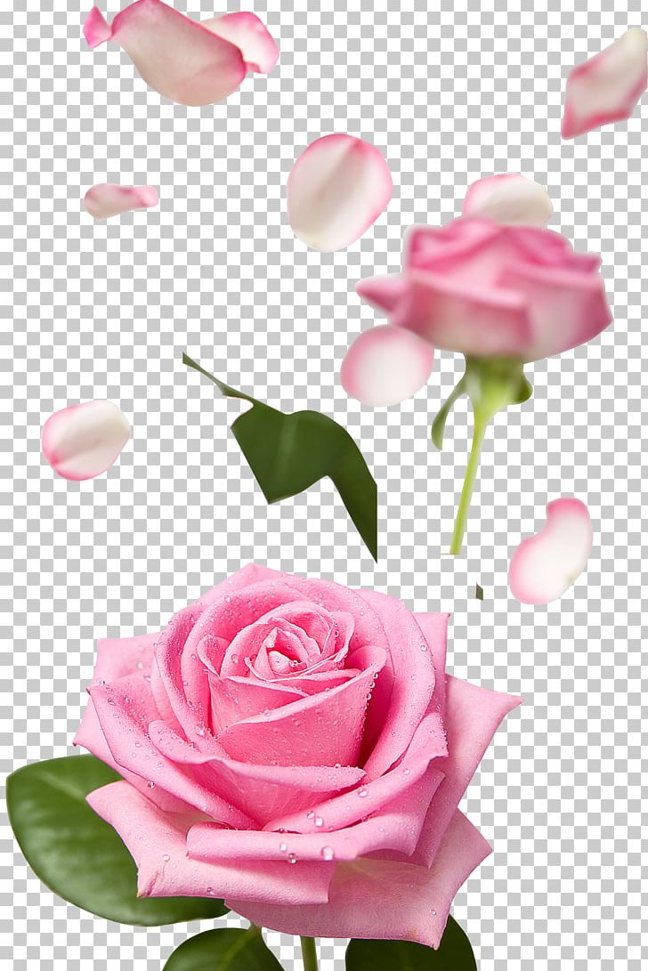 Pink Flower Rose Petal PNG, Clipart, Artificial Flower, Color, Cut Flowers, Drop, Floral Design Free PNG Download