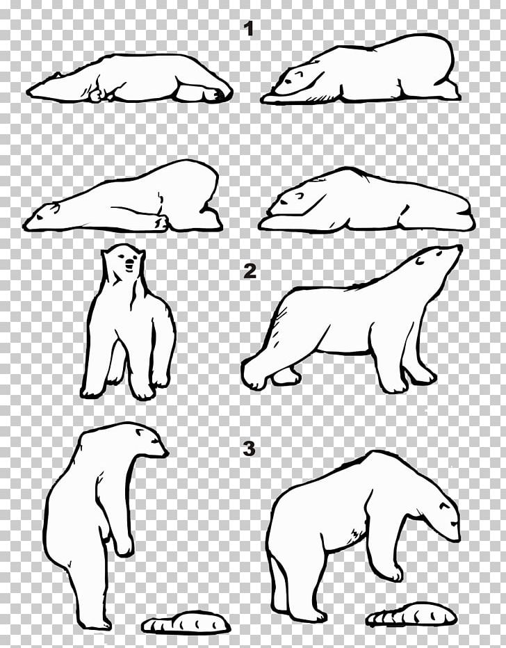 Polar Bear Walrus Polar Regions Of Earth Arctic American Black Bear PNG, Clipart, Ame, Angle, Animals, Arctic, Arm Free PNG Download