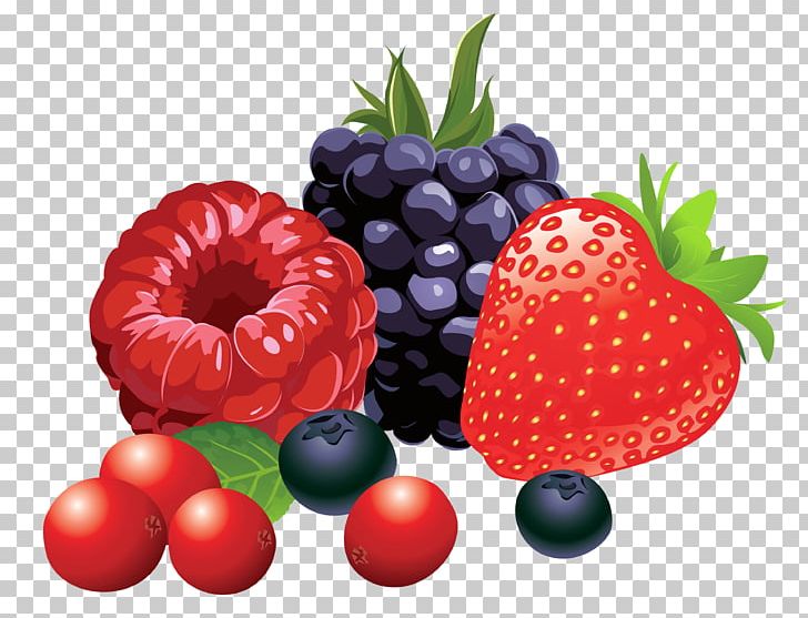 Berry Fruit PNG, Clipart, Accessory Fruit, Berry, Blackberry, Blueberries, Computer Icons Free PNG Download